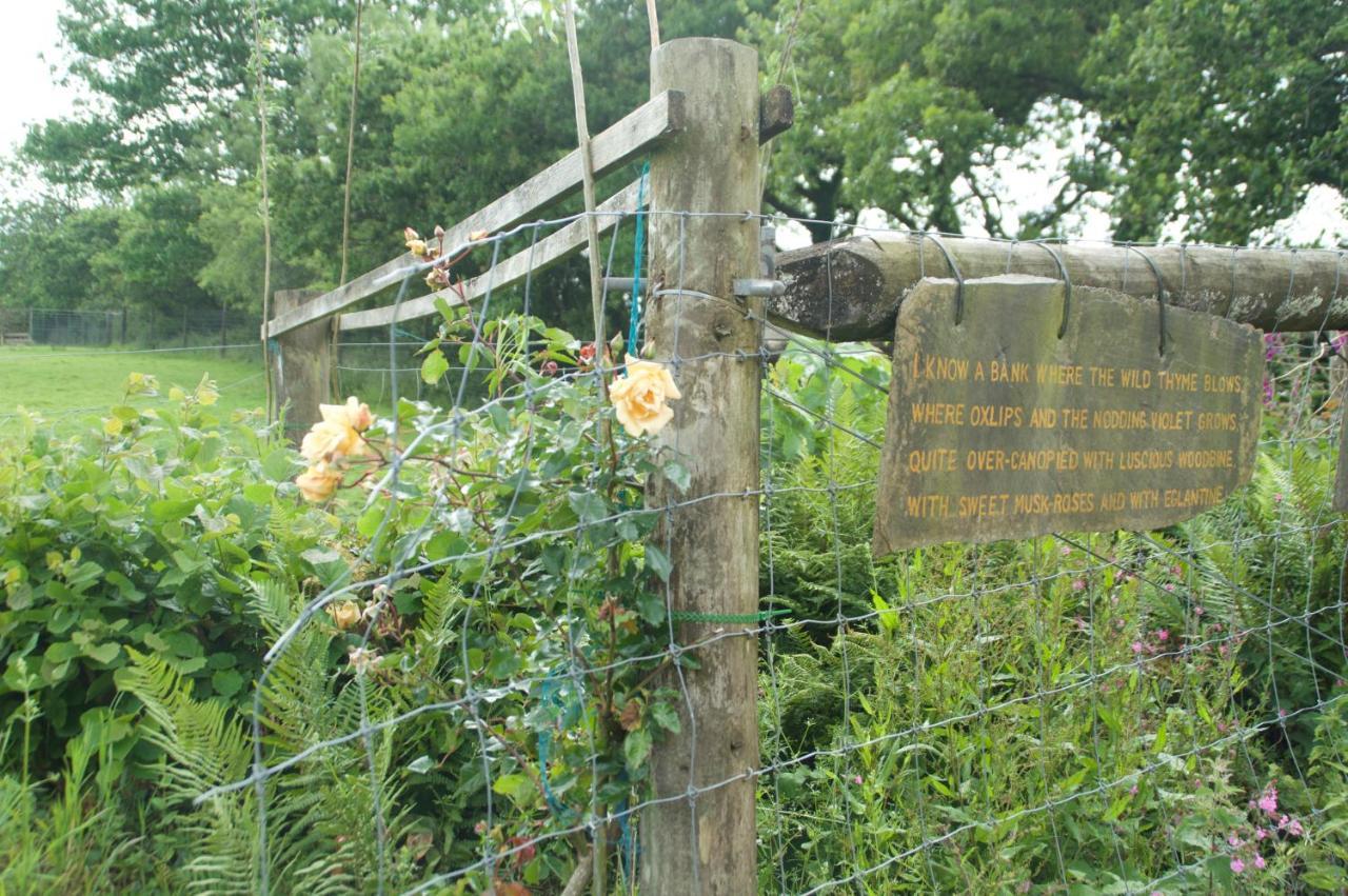 Bed and Breakfast The Old Deer House Bodmin Zewnętrze zdjęcie
